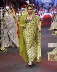 Neelkanthi Noor Saree Set