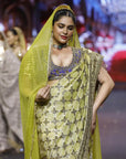 Neelkanthi Noor Saree Set