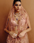 Amberlux Cocktail Lehenga