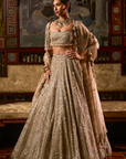 Gold Silver Tissue Lehenga Set - Ready to Ship