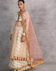 Blush Net Printed & Embroidered Anarkali Set