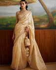 Embroidered Saree