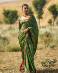 Ranthambore Print Saree