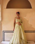 Pista Lehenga Set