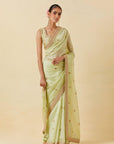 Embroidered Saree