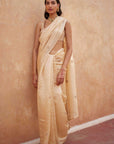 Organza Silk Saree