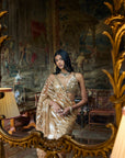 Gold Mirror Work Saree