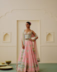 Asmira Lehenga Set - Soft Pink
