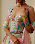 Asmira Lehenga Set - Soft Pink