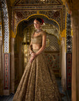 Antique Gold Scalloped Lehenga Set