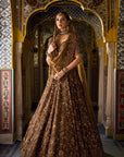 Bronze Tissue Lehenga Set