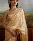 Embroidered Saree