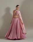 Lehenga Set - Pink 3