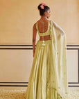 Pista Lehenga Set