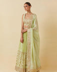 Mint Lehenga Paired With Blouse Dupatta