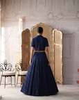 Midnight Revierie Embroidered Lehenga Set