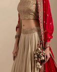 Classic Banarasi Lehenga Set - Gold