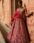 Advika Lehenga Set