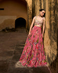 Janhvi Applique Skirt Set