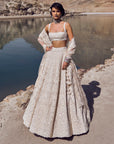 Carmine Lehenga Set