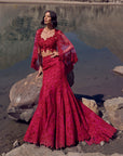 Cutdana Work Trail Lehenga Set