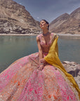 Crystal Lehenga Set