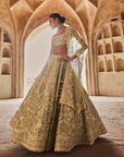 Blue Naina Lehenga Set