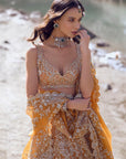 Clementine Lehenga Set
