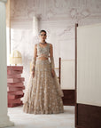 Champagne Radiance Embroidered Lehenga Set