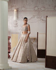 Champagne Opal Embroidered Lehenga Set