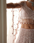 Blush Elysee Embroidered Lehenga Set