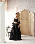 Noir Etoile Embroidered Lehenga Set