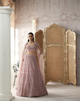 Champagne Blush Embroidered Lehenga Set