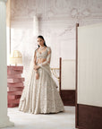 Platinum Eclat Embroidered Lehenga Set