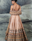 Blush Ivory Skirt Set | Baroda
