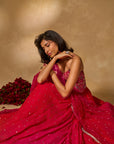 Aries Corset Lehenga
