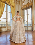 Rose Gold Mirror Work Lehenga Set