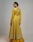 Golconda Ishanya Anarkali Jacket Set