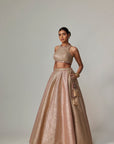 Deep Beige Multicolor With Crop Top
