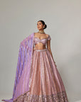 Lilac Gota Multicolor Heavy Metallic Lehenga With Cap Sleeve Blouse