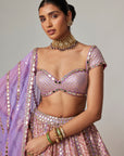 Lilac Gota Multicolor Heavy Metallic Lehenga With Cap Sleeve Blouse