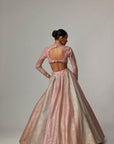 Dark Blush Multicolor Metallic Gota Crop Top Skirt With Aqua Dupatta