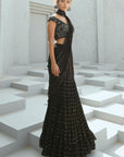 Sky Pre Drape Saree