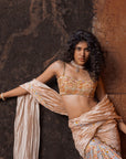 Noor Gharara Saree Set