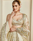 Haniya Lehenga Set - Gold