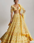 Anha Lehenga Set
