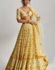 Anha Lehenga Set
