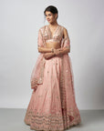 Daksha Lehenga Set