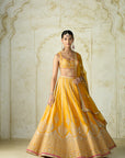Samia Lehenga Set