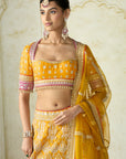 Haseena Lehenga Set